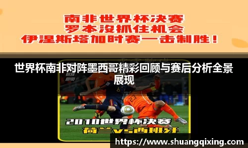 世界杯南非对阵墨西哥精彩回顾与赛后分析全景展现